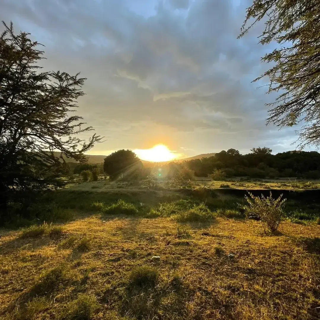 Enchoro Wildlife Camp